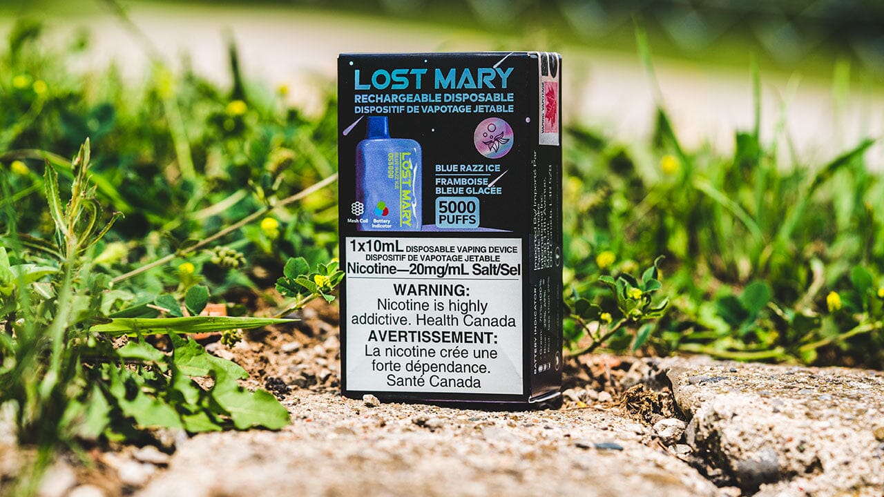 Get Lost in Flavour with Lost Mary OS5000 Disposable Vape